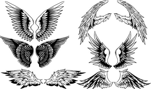 6款创意手绘翅膀设计矢量素材16图