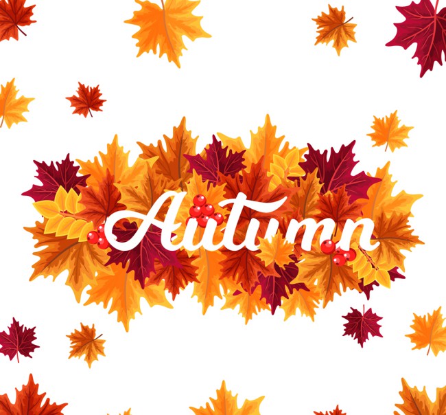 彩色秋季树叶艺术字矢量素材16素材网精选