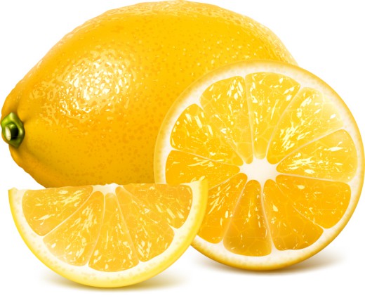 新鲜黄色柠檬和切片矢量素材16素材网精选