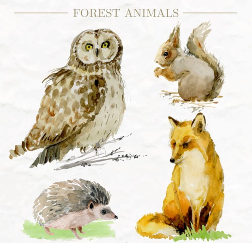 4款生动彩绘森林动物矢量素材16图库网精选