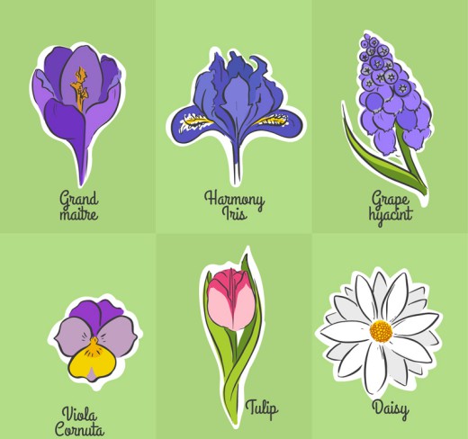 6款彩色花卉设计矢量素材素材天下精选
