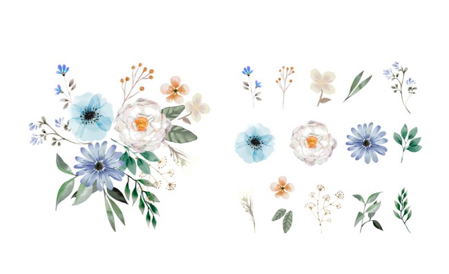 彩绘花朵和组合花束矢量素材16图库网精选