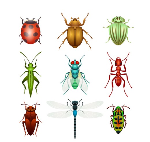 9种昆虫设计矢量素材普贤居素材网精选