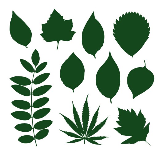 10款绿色树叶剪影矢量素材素材天下