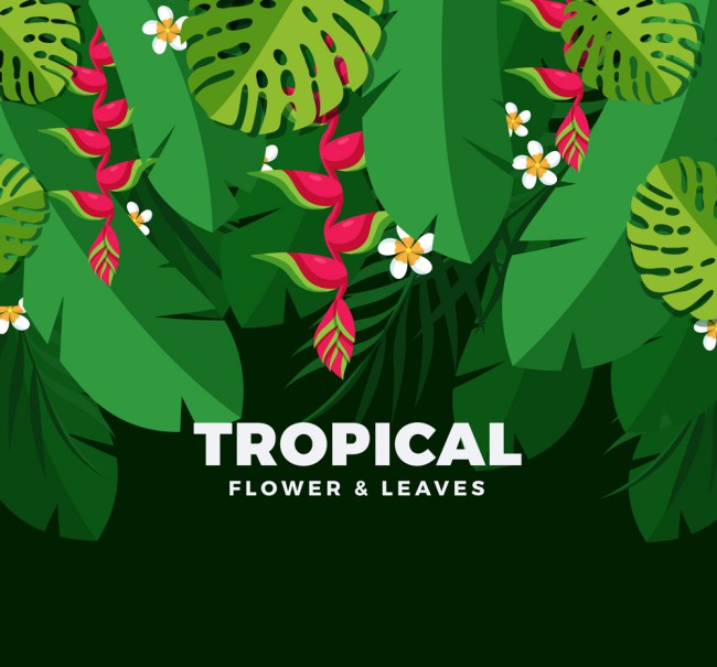 美丽热带花卉树叶矢量素材16图库网精选