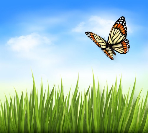 蝴蝶与草丛背景矢量素材16设计网精选