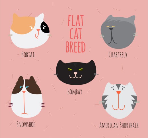 5款可爱猫咪表情头像矢量素材普贤