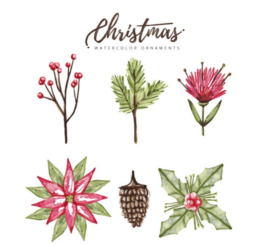 6款水彩绘圣诞植物矢量素材素材天下精选