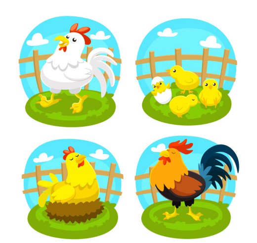 4款可爱农场鸡设计矢量素材素材中国网精选