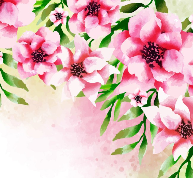 水彩绘盛开粉色花卉矢量图普贤居素材网精选