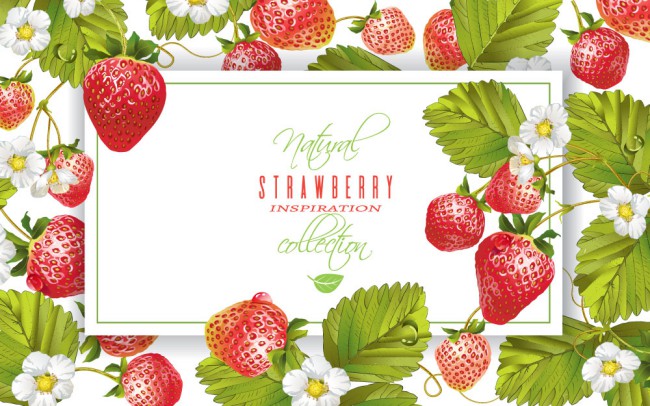 彩绘红色草莓框架矢量素材16设计网精选