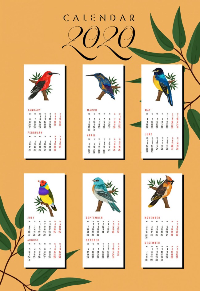 2020年美丽鸟类年历卡片矢量图16素