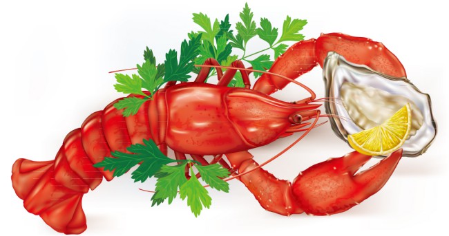 美味龙虾和牡蛎菜肴矢量素材素材中