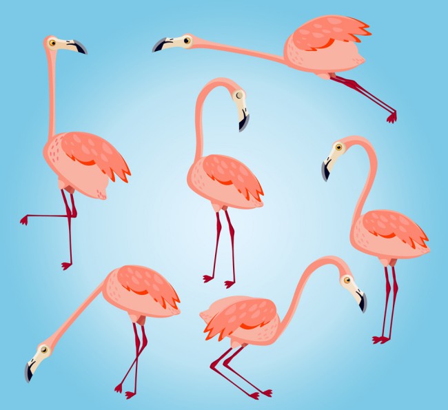 6款粉色火烈鸟设计矢量素材16素材网精选