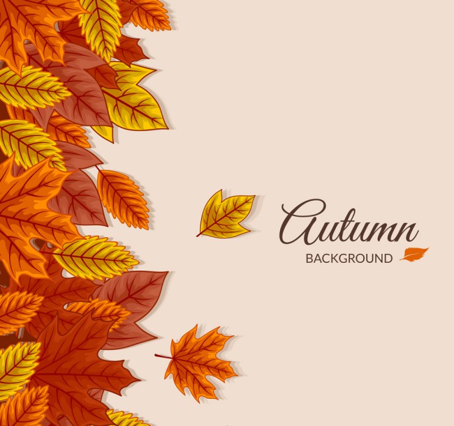 彩色秋季落叶矢量素材16素材网精选