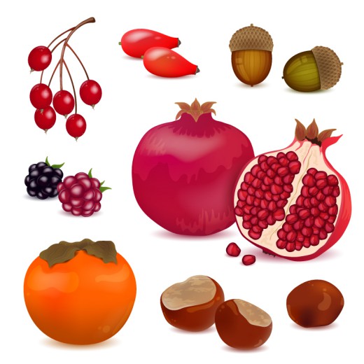 7款水果与坚果设计矢量素材普贤居素材网精选