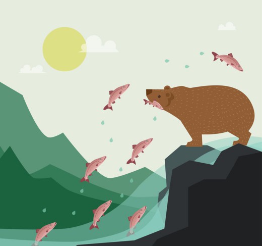 捕食鲑鱼的棕熊矢量素材素材中国网精选