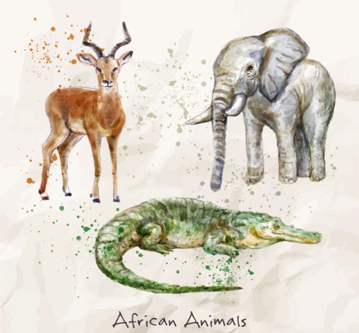 3种水彩绘非洲动物矢量素材16图库网精选