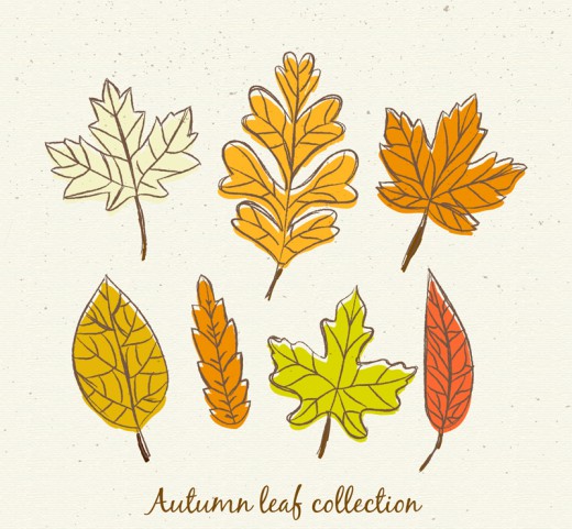 7款彩绘秋季叶子矢量素材素材中国网精选