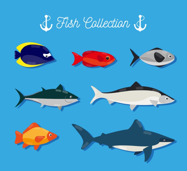 7款创意海洋鱼类设计矢量图16图库网精选