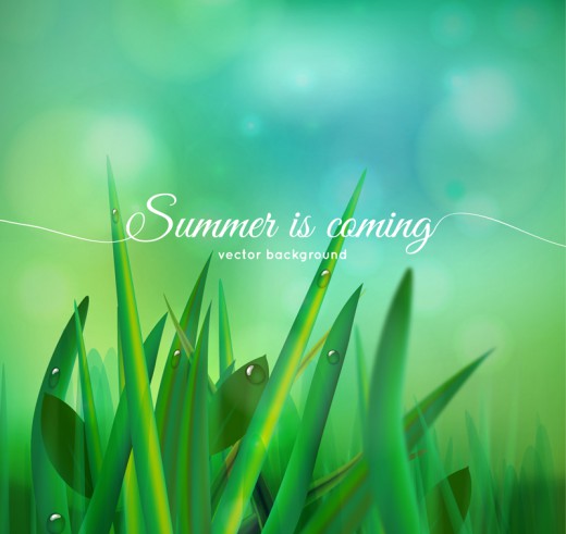 绿色夏季草丛和露珠矢量素材16图库网精选