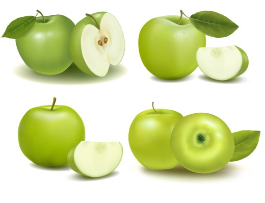 4款新鲜青苹果矢量素材16图库网精选