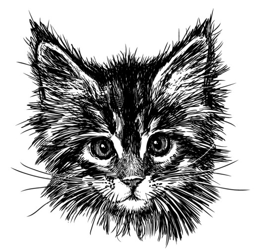黑色手绘猫咪头像矢量素材素材天下