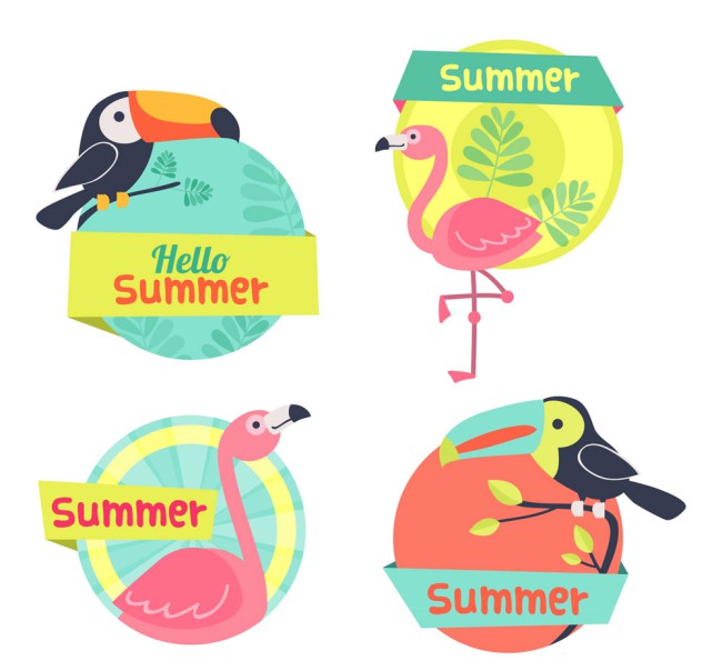 4款彩色夏季鸟类标签矢量素材16设计网精选