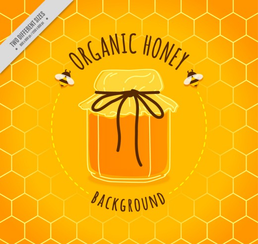 美味罐装有机蜂蜜和蜜蜂矢量素材16图库网精选