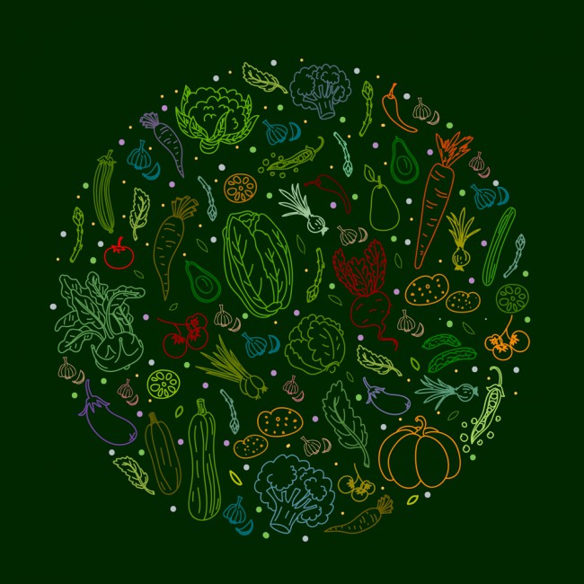 彩色蔬菜组合圆形矢量素材16图库网精选