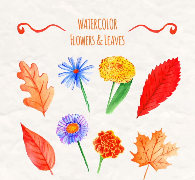 8款水彩绘鲜艳花卉和叶子矢量图普贤居素材网精选
