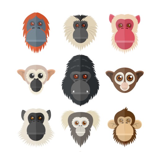 9款创意猴子和猩猩头像矢量素材16图库网精选