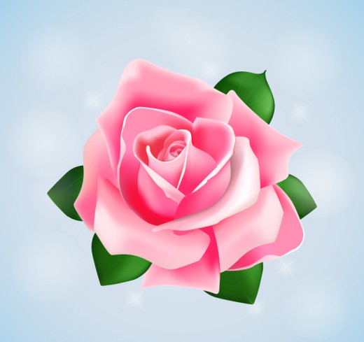 粉色盛开玫瑰花矢量素材16图库网精选