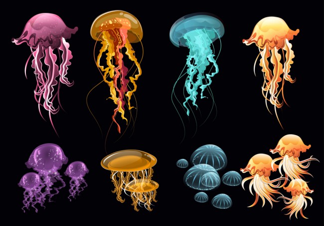 8组彩色透明水母设计矢量图16素材网精选