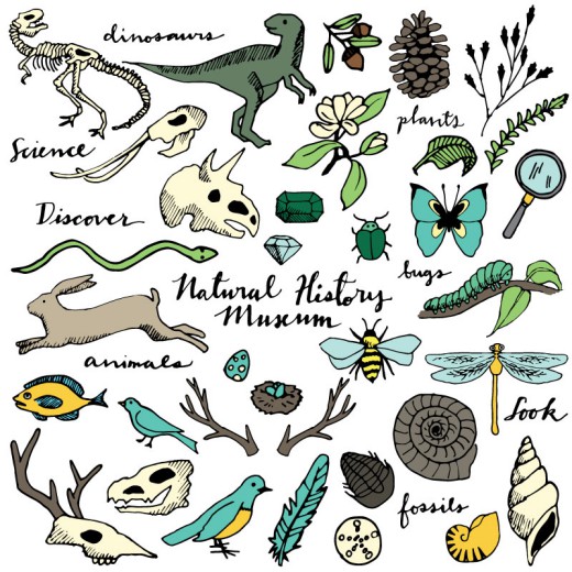 30款自然野生动植物矢量素材16素材