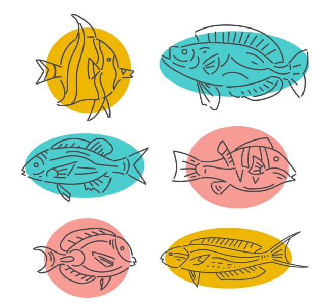 6款手绘鱼类设计矢量素材16素材网精选