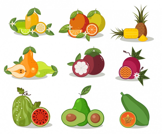9组彩色水果设计矢量素材16图库网精选