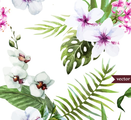 白色扶桑花和蝴蝶兰矢量图素材中国