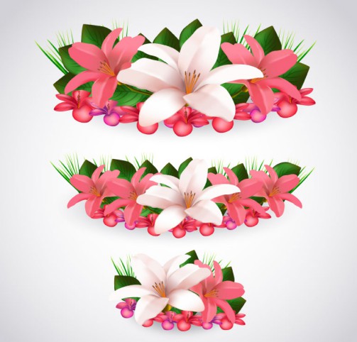 3组美丽百合花设计矢量素材素材中国网精选