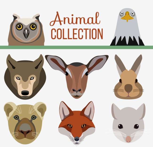 8款创意野生动物头像矢量素材16素材网精选