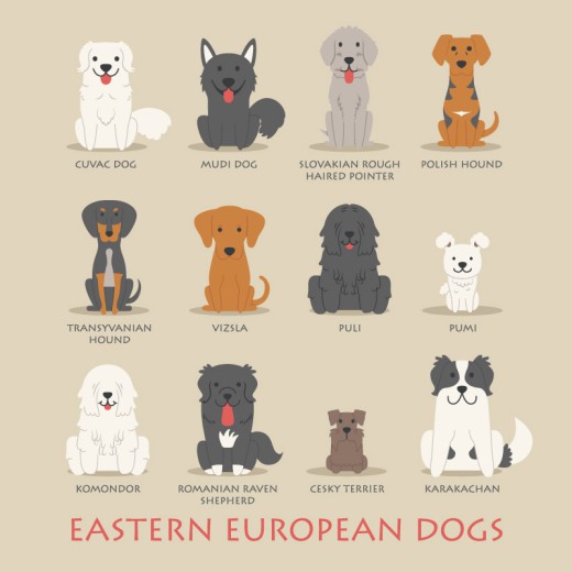 12款卡通东欧宠物狗设计矢量素材素