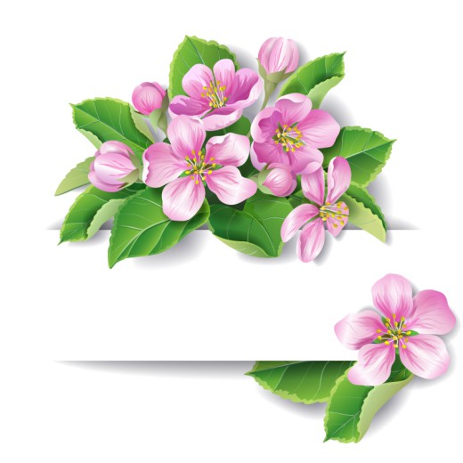 精美粉色花朵装饰banner矢量素材16设计网精选