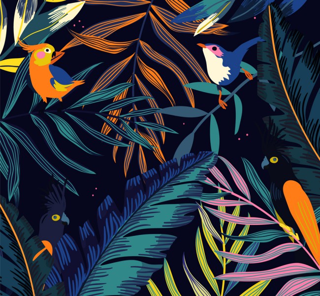 美丽热带花鸟设计矢量素材16图库网精选