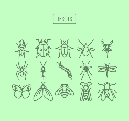 15款昆虫图标矢量素材普贤居素材网