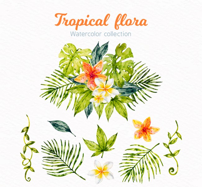 水彩绘热带花束设计矢量素材16设计网精选