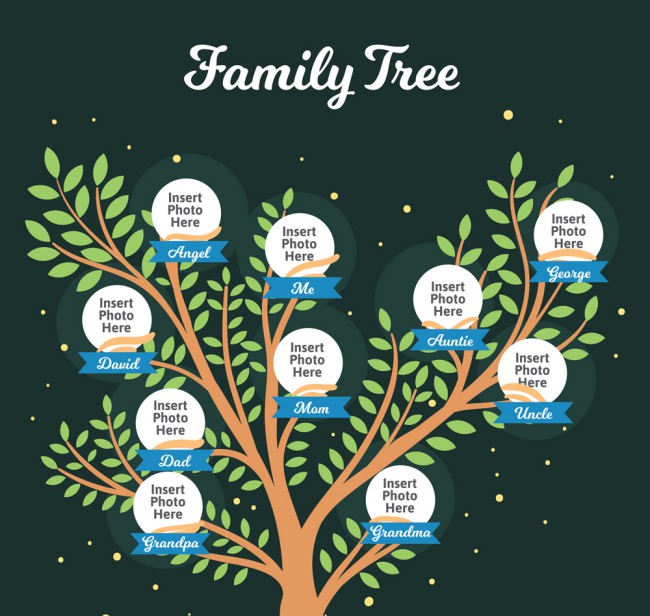 创意绿色家族树矢量素材16设计网精选