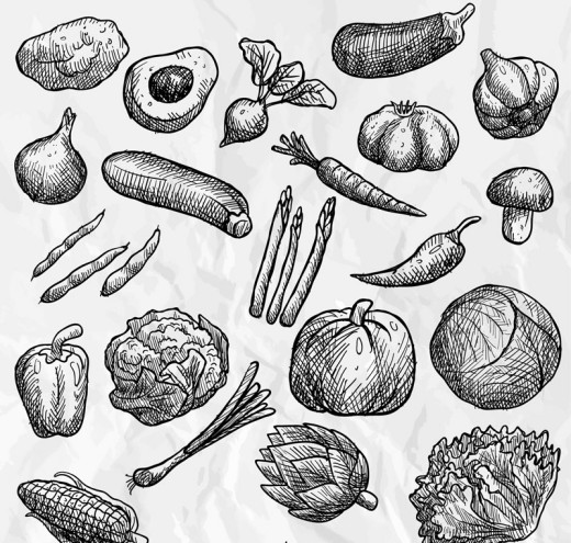 21款手绘蔬菜矢量素材16图库网精选