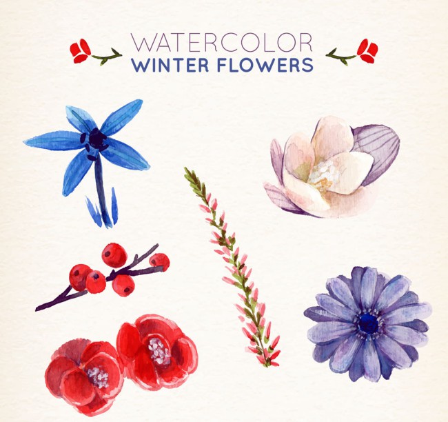 6款水彩绘冬季植物花卉矢量图素材中国网精选