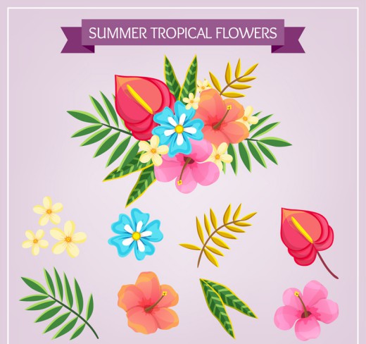 9款热带花卉和叶子矢量素材16设计网精选