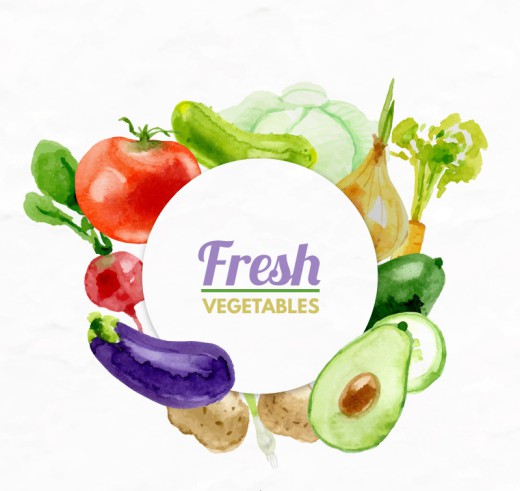水彩绘多种新鲜蔬菜矢量素材16图库网精选